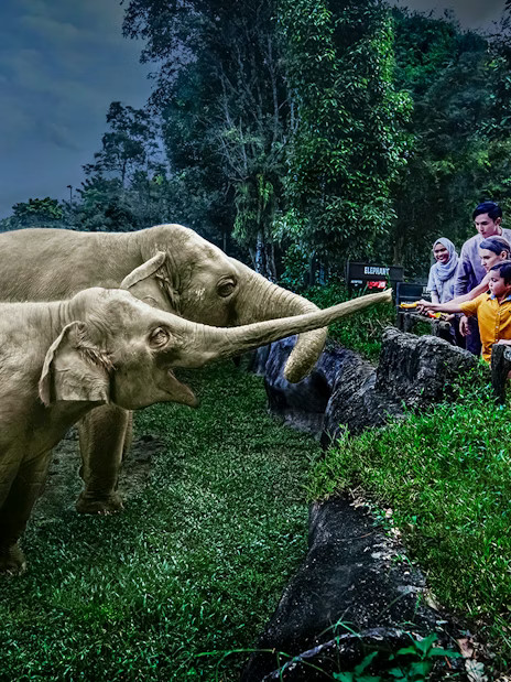 Night Safari Tickets with Tram Ride - Image 1