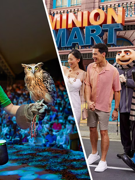 Combo (Save 5%): Night Safari + Gardens by the Bay/Universal Studios Singapore Tickets - Image 1